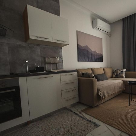Luxury Apartment In The Center Of Ioannina City Zewnętrze zdjęcie